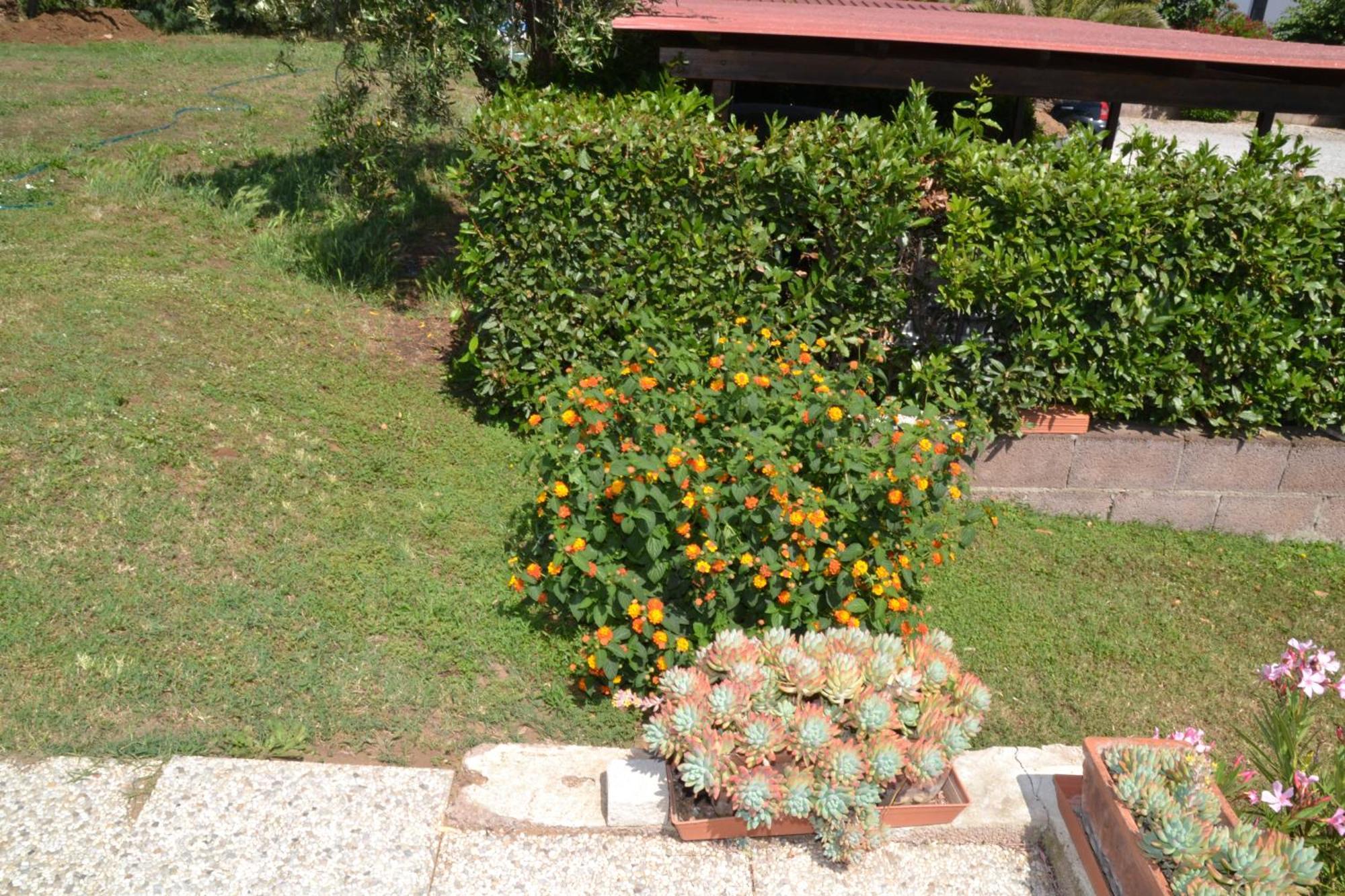 La Mimosa Otel Bolgheri Dış mekan fotoğraf