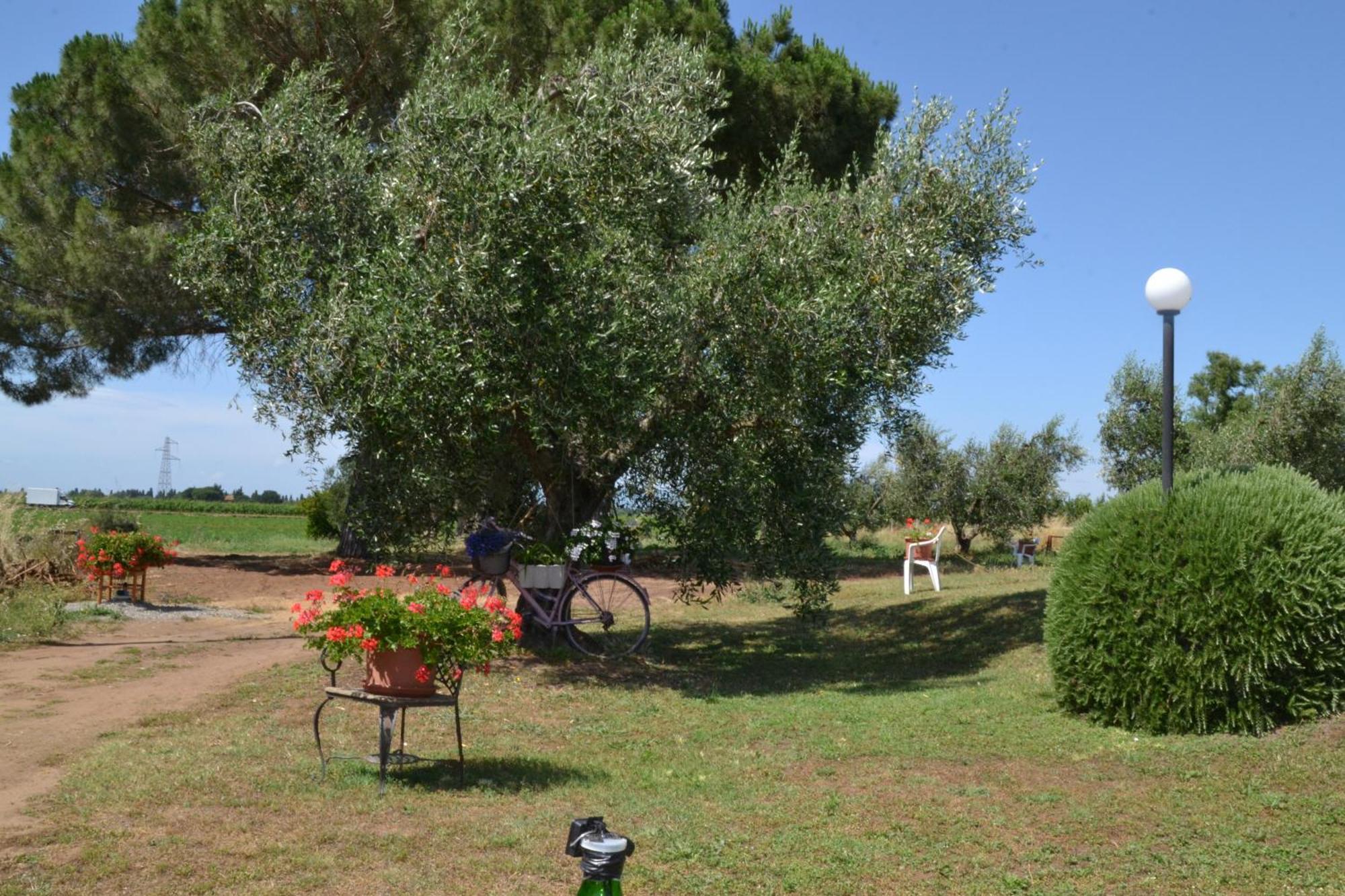 La Mimosa Otel Bolgheri Dış mekan fotoğraf
