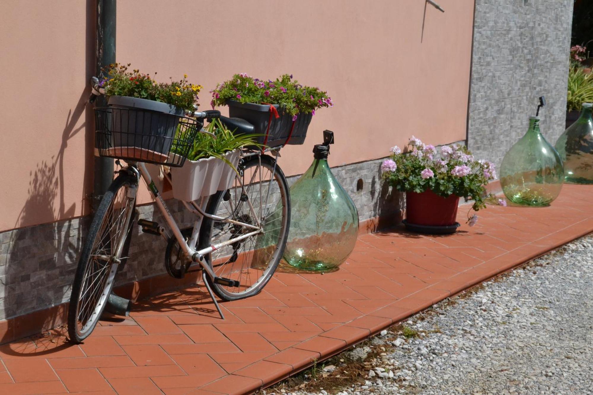 La Mimosa Otel Bolgheri Dış mekan fotoğraf