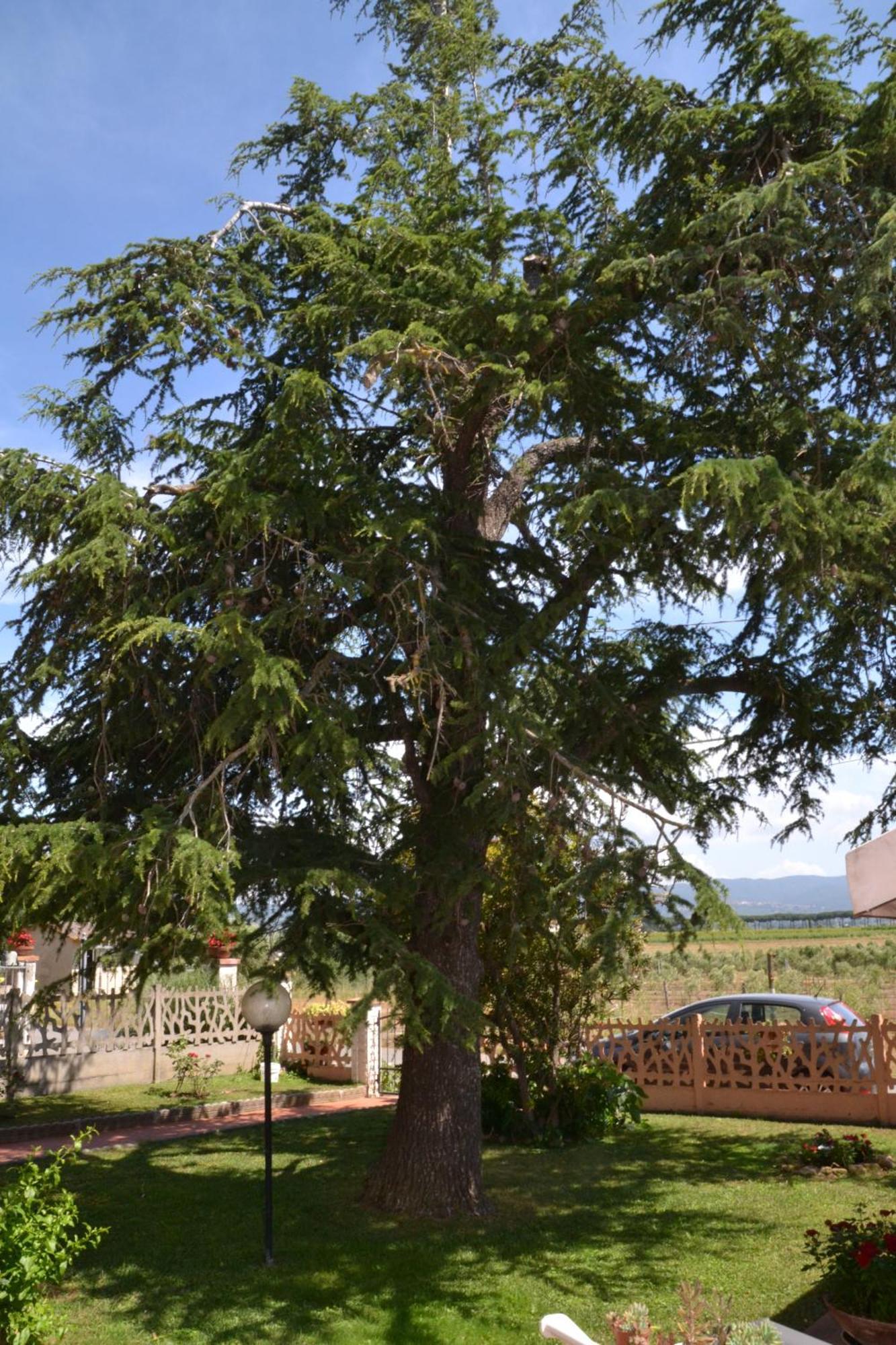 La Mimosa Otel Bolgheri Dış mekan fotoğraf